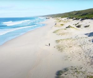 whale-trail-gallery