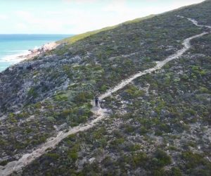 whale-trail-gallery